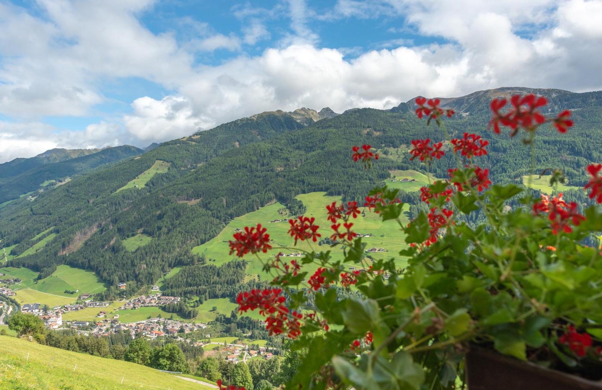 Ortnerhof Apartment Ahrntal ภายนอก รูปภาพ